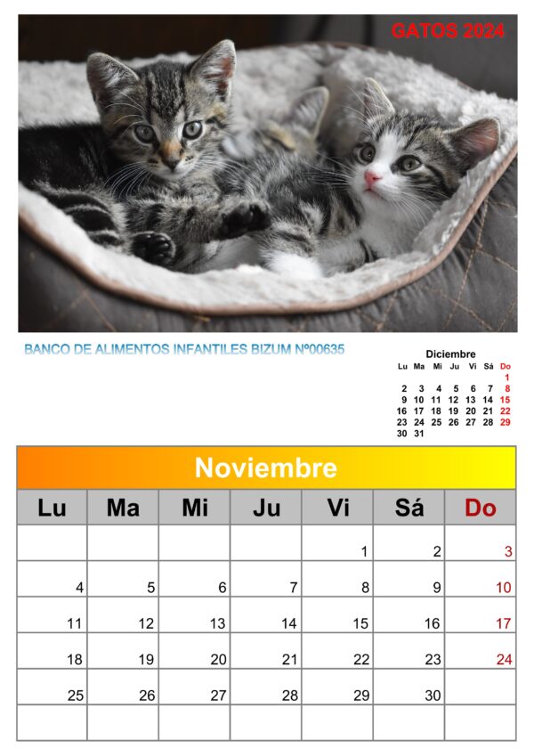 Calendario de pared de imágenes de gatos 2025 - Image 10