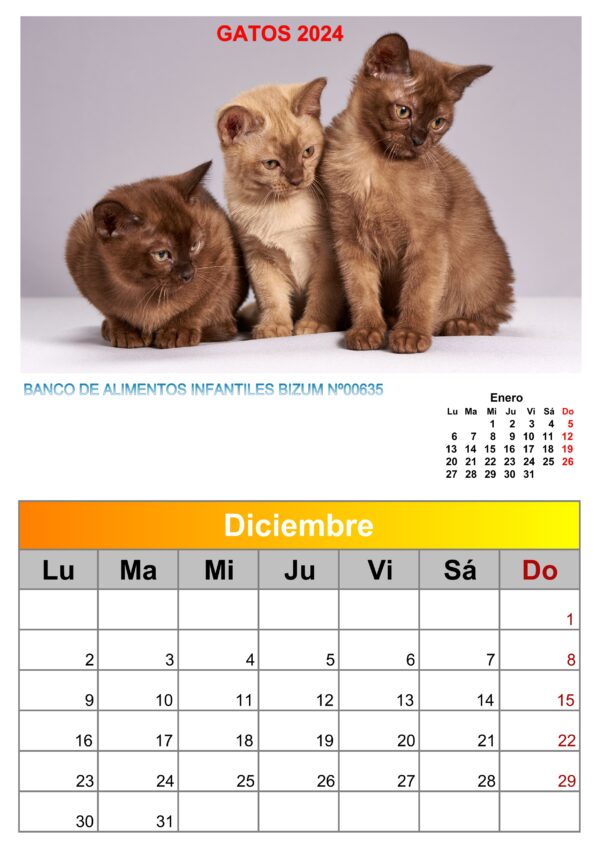 Calendario de pared de imágenes de gatos 2025 - Image 11