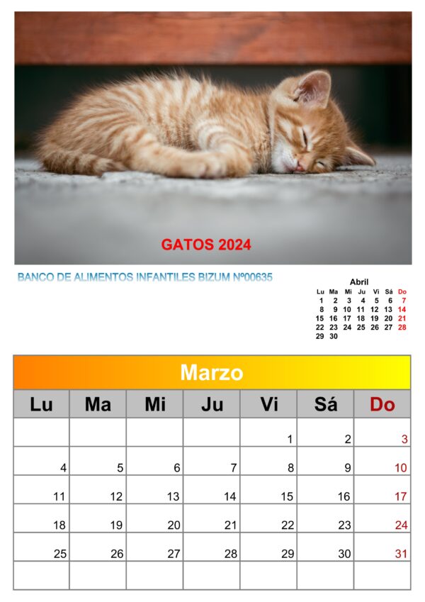 Calendario de pared de imágenes de gatos 2025 - Image 3