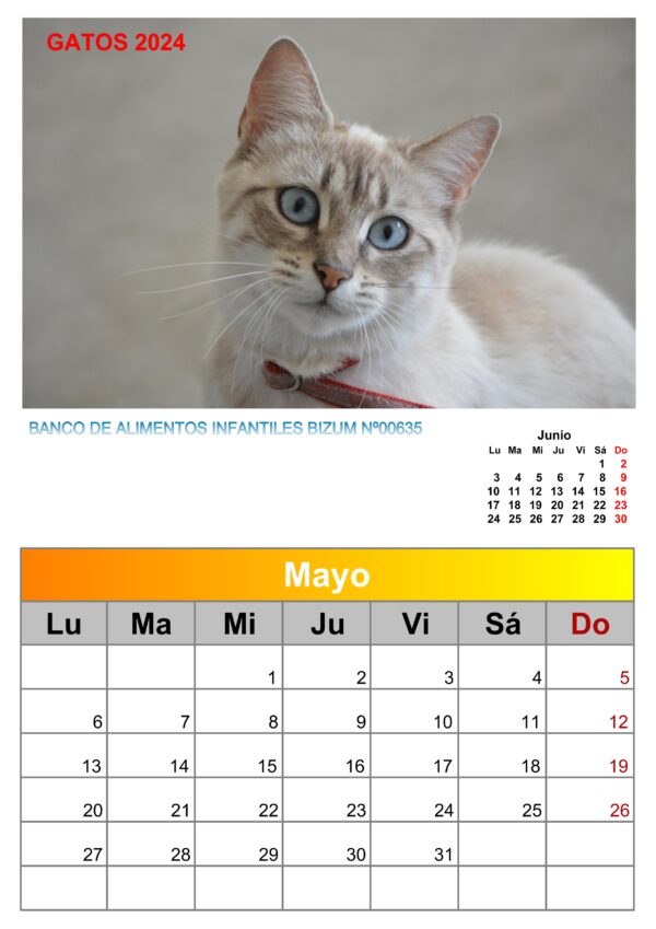 Calendario de pared de imágenes de gatos 2025 - Image 5