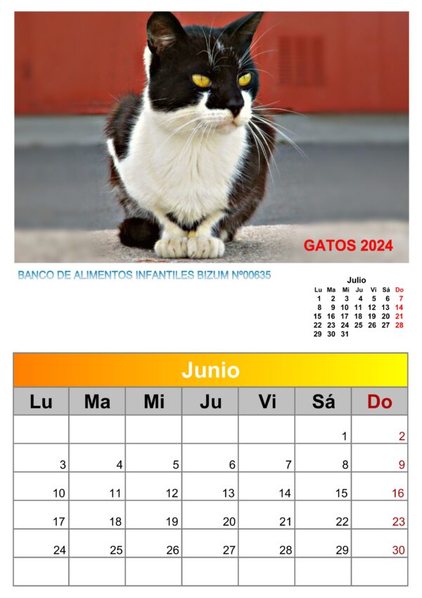 Calendario de pared de imágenes de gatos 2025 - Image 6