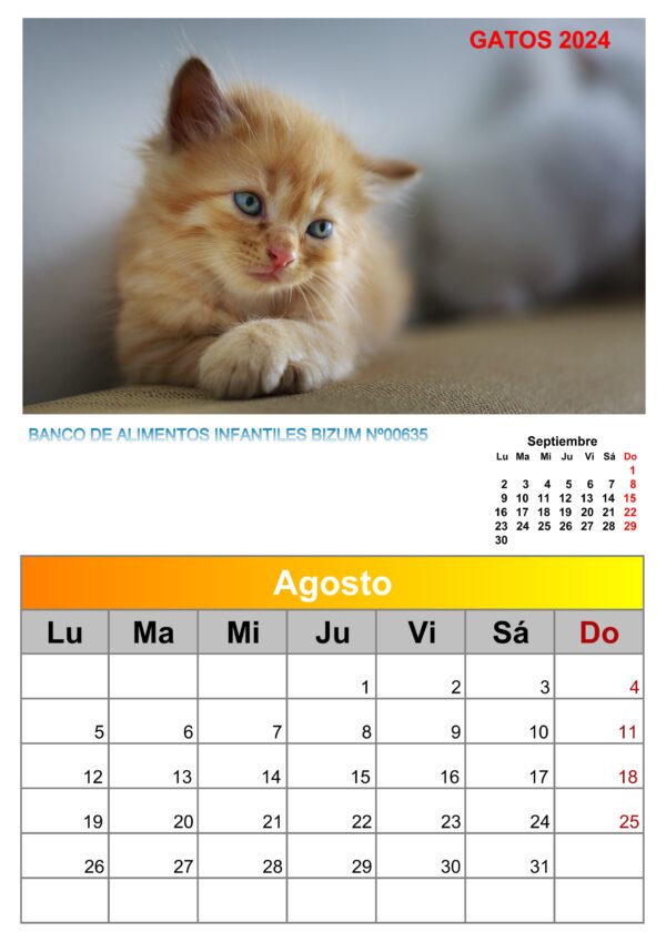 Calendario de pared de imágenes de gatos 2025 - Image 8