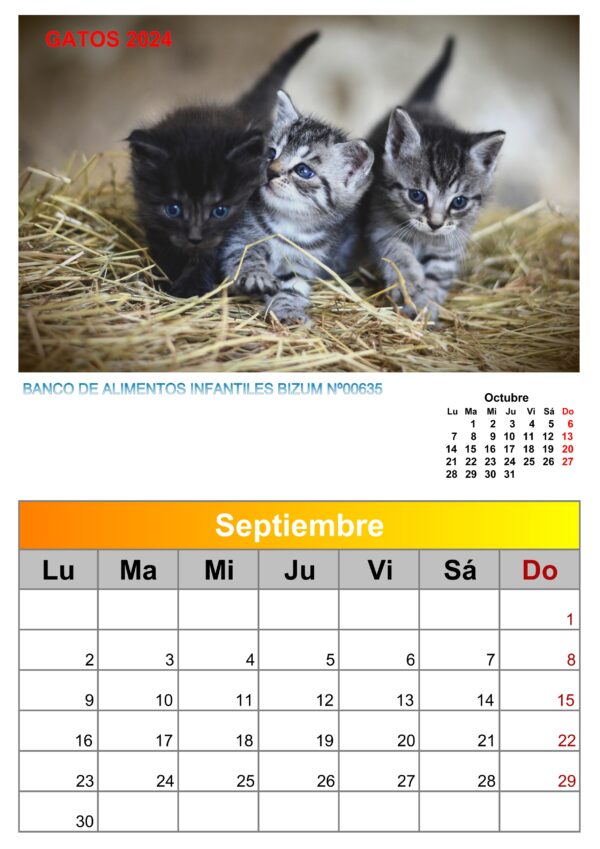 Calendario de pared de imágenes de gatos 2025 - Image 9