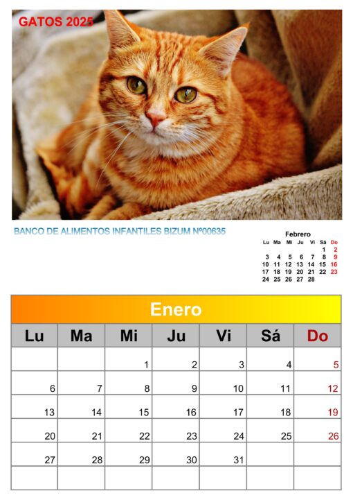 Calendario de pared de imágenes de gatos 2025