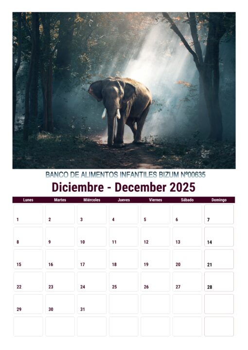 Calendario de imágenes de animales 2025 formato A4, 12 €, envío gratis a España - Image 2