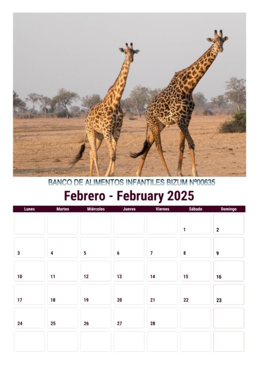 Calendario de imágenes de animales 2025 formato A4, 12 €, envío gratis a España - Image 12