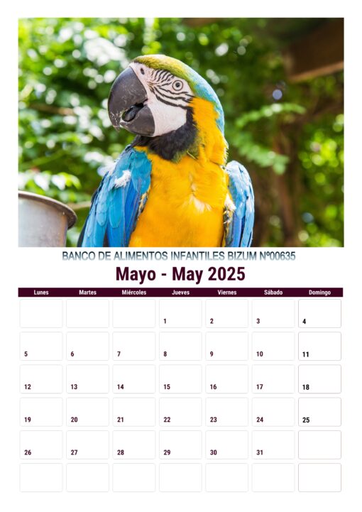 Calendario de imágenes de animales 2025 formato A4, 12 €, envío gratis a España - Image 9