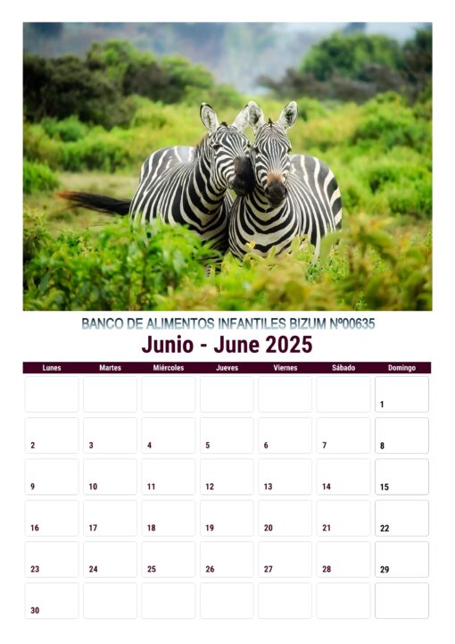 Calendario de imágenes de animales 2025 formato A4, 12 €, envío gratis a España - Image 8