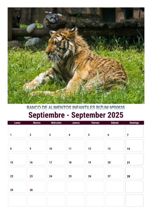 Calendario de imágenes de animales 2025 formato A4, 12 €, envío gratis a España - Image 5