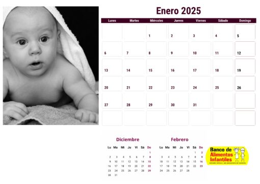 Calendario de bebés 2025 - envío gratis - Image 12