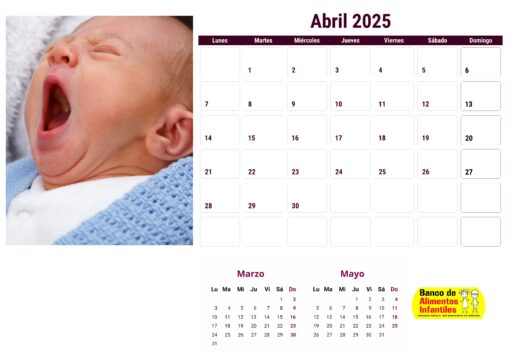 Calendario de bebés 2025 - envío gratis - Image 9