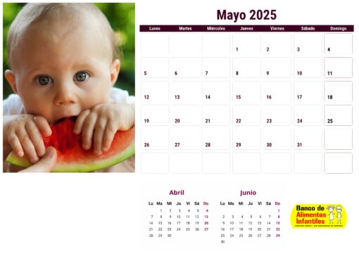 Calendario de bebés 2025 - envío gratis - Image 8