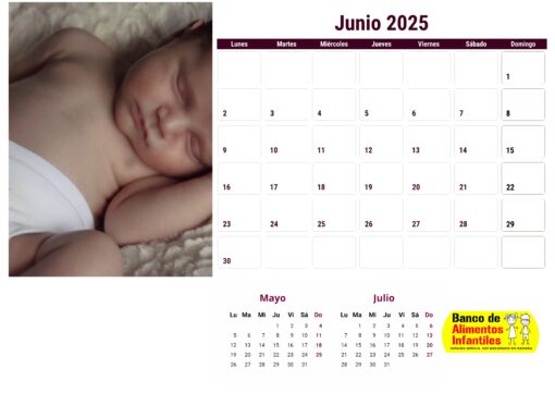 Calendario de bebés 2025 - envío gratis - Image 7