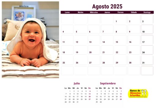 Calendario de bebés 2025 - envío gratis - Image 5