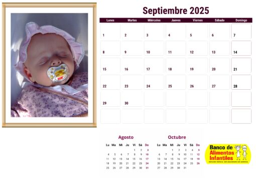 Calendario de bebés 2025 - envío gratis - Image 4