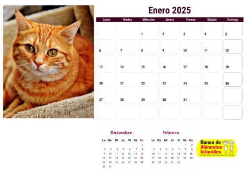 Calendario de gatos año 2025 formato A4, 12 €, envío gratis a España