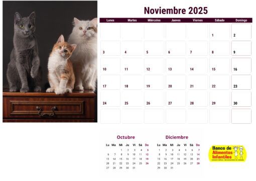 Calendario de gatos año 2025 formato A4, 12 €, envío gratis a España - Image 12