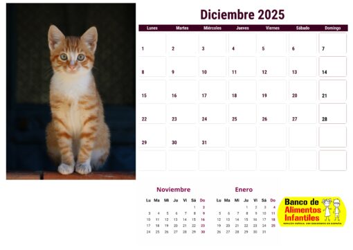 Calendario de gatos año 2025 formato A4, 12 €, envío gratis a España - Image 13