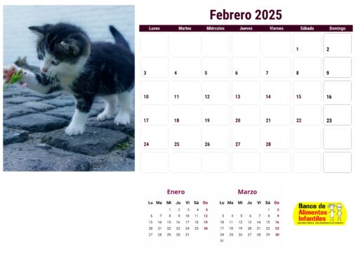 Calendario de gatos año 2025 formato A4, 12 €, envío gratis a España - Image 3