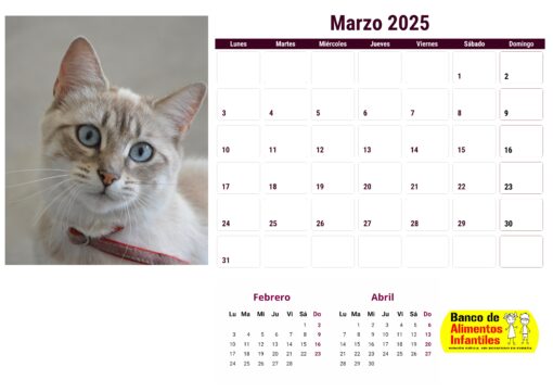 Calendario de gatos año 2025 formato A4, 12 €, envío gratis a España - Image 4