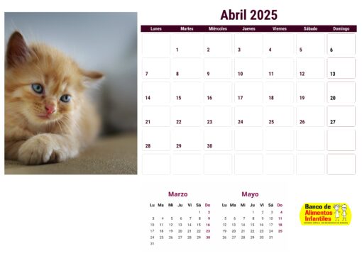 Calendario de gatos año 2025 formato A4, 12 €, envío gratis a España - Image 5