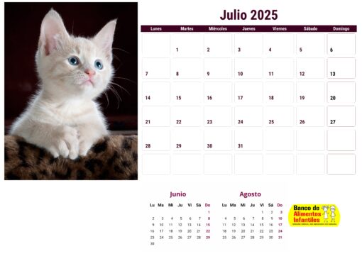 Calendario de gatos año 2025 formato A4, 12 €, envío gratis a España - Image 8