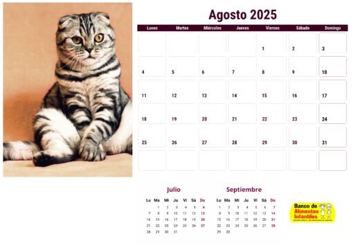 Calendario de gatos año 2025 formato A4, 12 €, envío gratis a España - Image 9