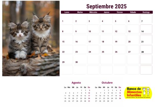 Calendario de gatos año 2025 formato A4, 12 €, envío gratis a España - Image 10