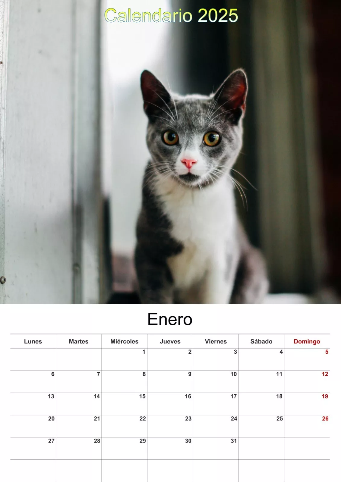 Calendarios de pared 2025 gatos